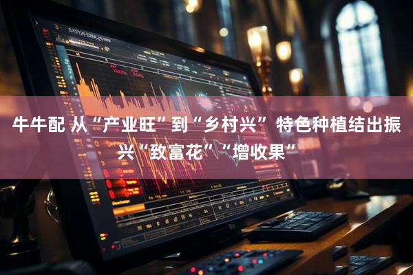牛牛配 从“产业旺”到“乡村兴” 特色种植结出振兴“致富花”“增收果”